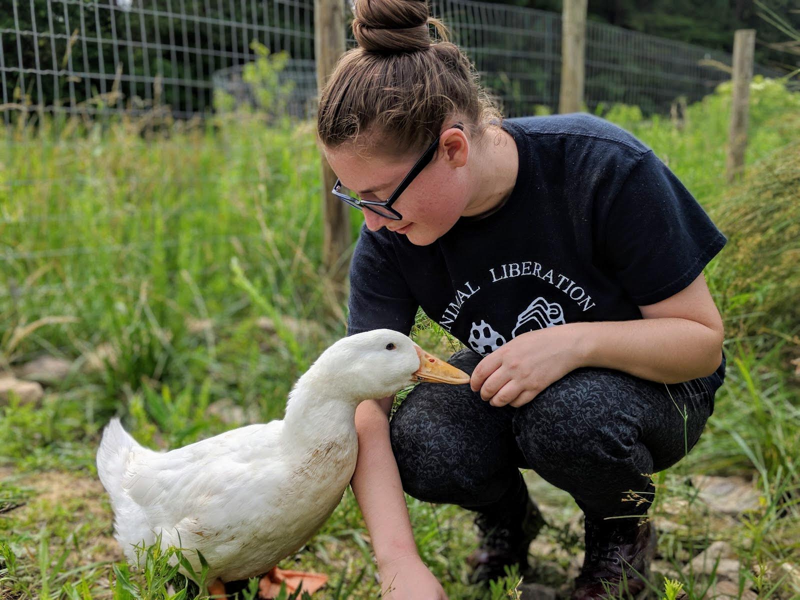 A white duck investigating the hand of a human crouched next to them